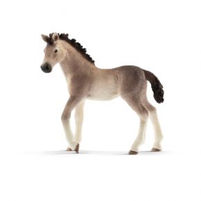 POTRO ANDALUZ (CABALLO)